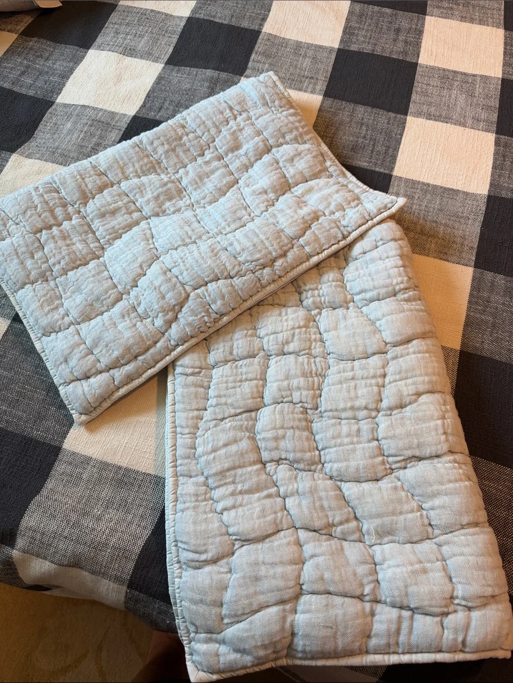 Pottery Barn Light blue Quilted Pillow Shams - Pair